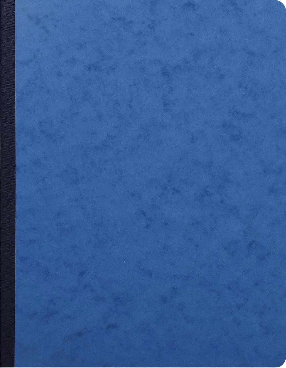 Register 32x25 cm - geruit 5x5 - genummerd - 80 blad - 6410E från Exacompta i Geassorteerd – produktbild