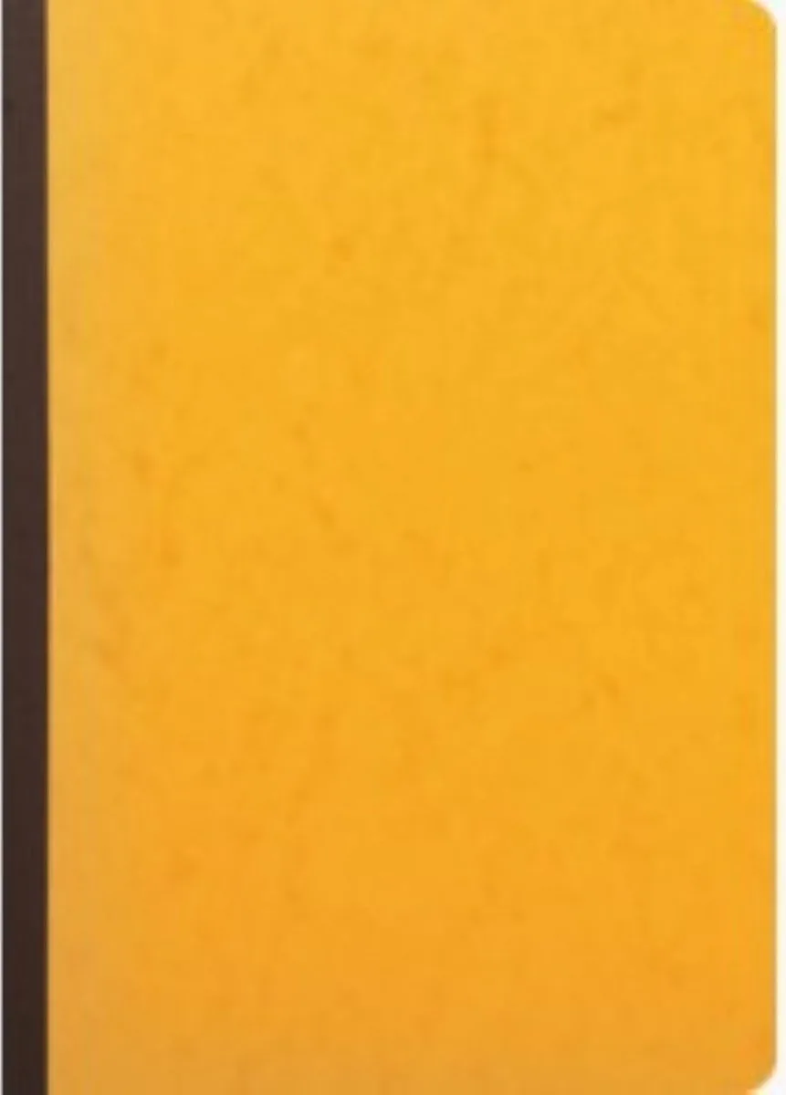 REGISTER MET UITGESNEDEN HOOFD - 29,7X21 CM - 16 KOLOMMEN OP 2 PAGINA'S - 34 LIJNEN - 80 BLAD fra Exacompta i Volgens voorraad – produktbillede
