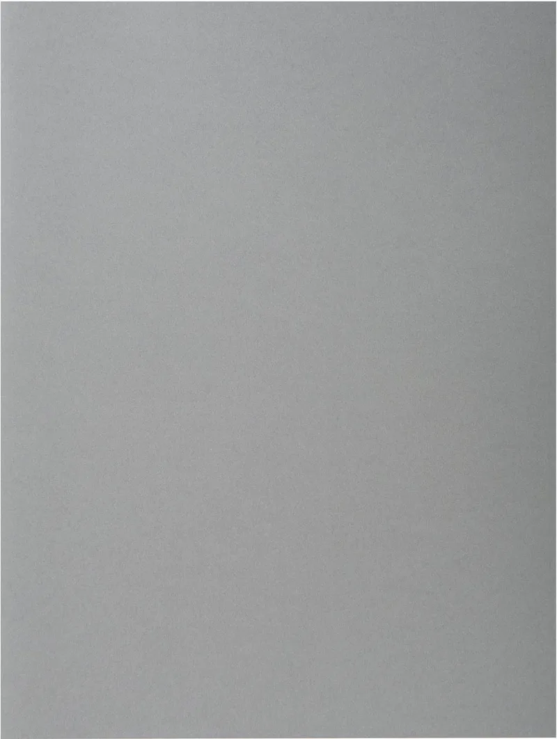 Rock's 80 dossiermap, ft 22 x 31 cm, pak van 100, grijs von Exacompta – Produktfoto