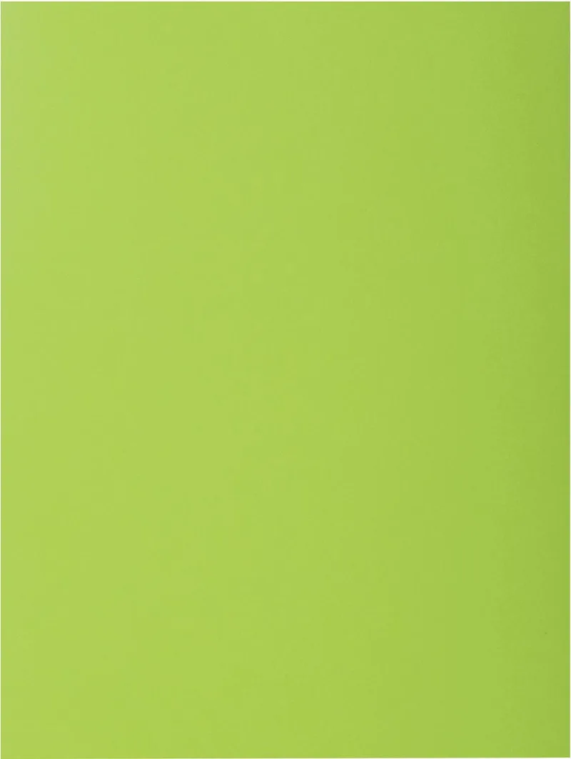Rock's 80 dossiermap, ft 22 x 31 cm, pak van 100, muntgroen de Exacompta – photo produit