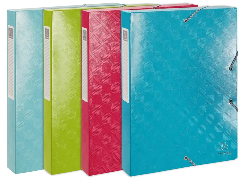 Sammelbox 1928, DIN A4, Karton, farbig sortiert fra Exacompta – produktbillede