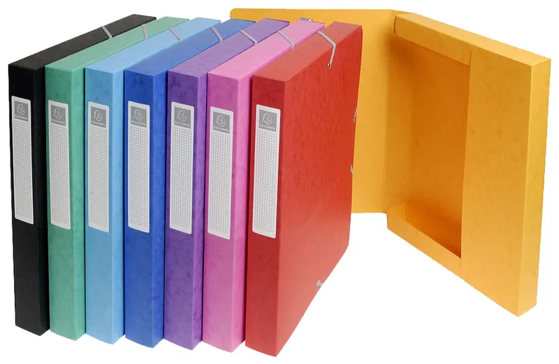 Sammelbox, Rückenbreite: 80 mm, farbig sortiert by Exacompta – product photo