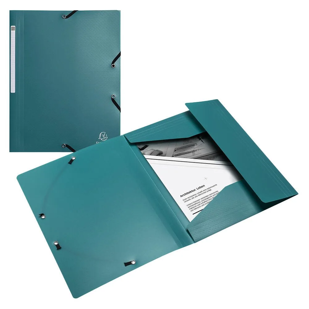 Sammelmappe Opak DIN A4 grün van Exacompta – productfoto