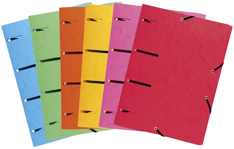 Sammelmappe Punchy +, aus Karton, farbig sortiert von Exacompta – Produktfoto