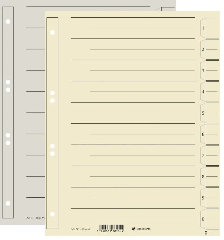 Trennblätter, DIN A4 Überbreite, chamois by Exacompta – product photo