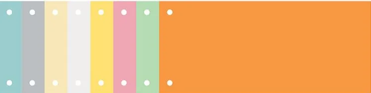 Trennstreifen Recycling, 105 x 240 mm, sortiert från Exacompta – produktbild