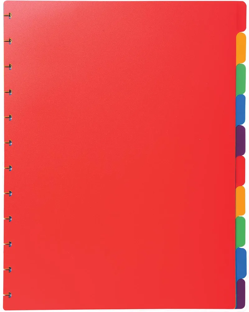 uitneembare tabbladen voor showalbum met ringen, in gekleurd PP, 10 tabs by Exacompta – product photo