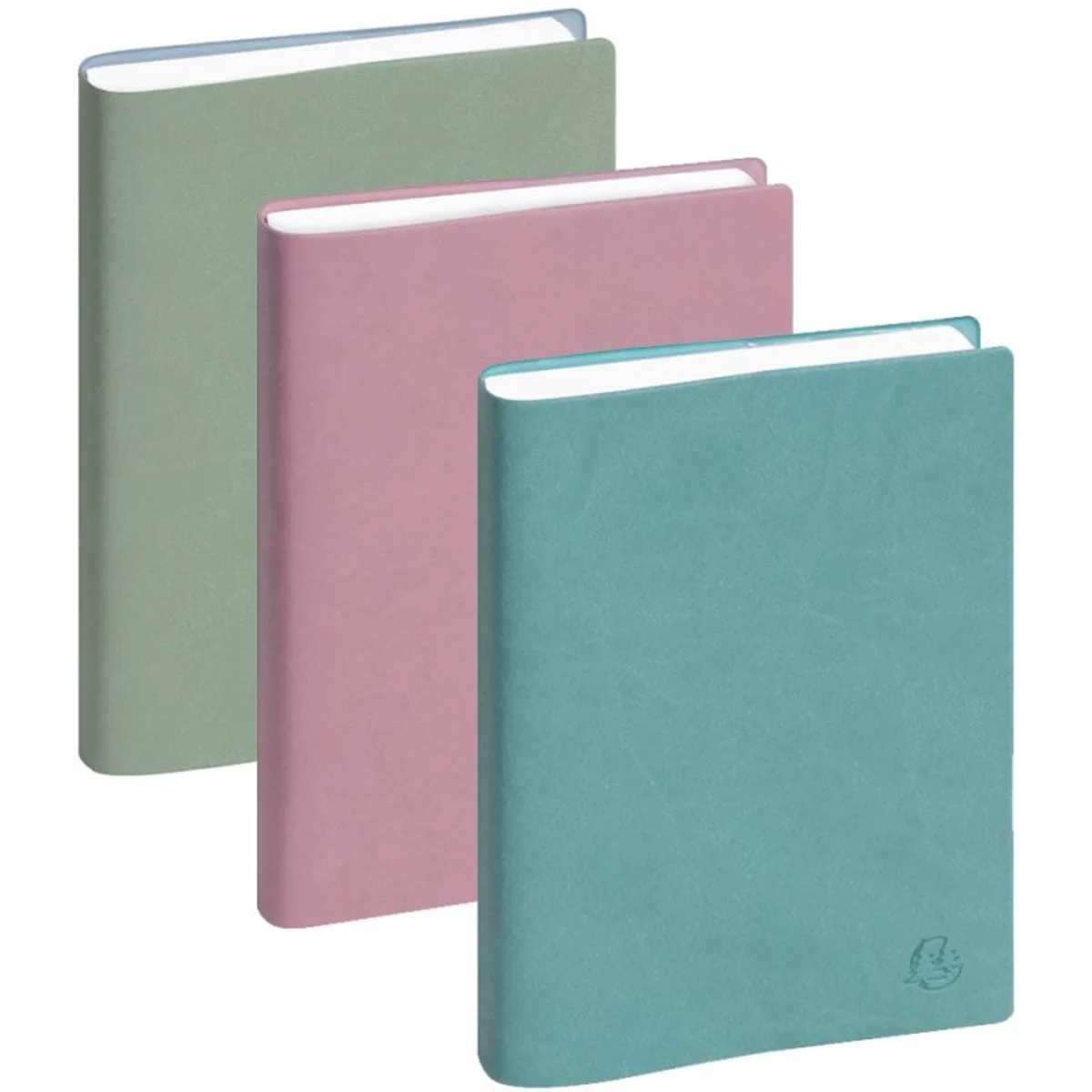 zakagenda EasyDay 17, 120 x 170 mm, 1 dag per pagina, pak van 5 stuks fra Exacompta – produktbillede