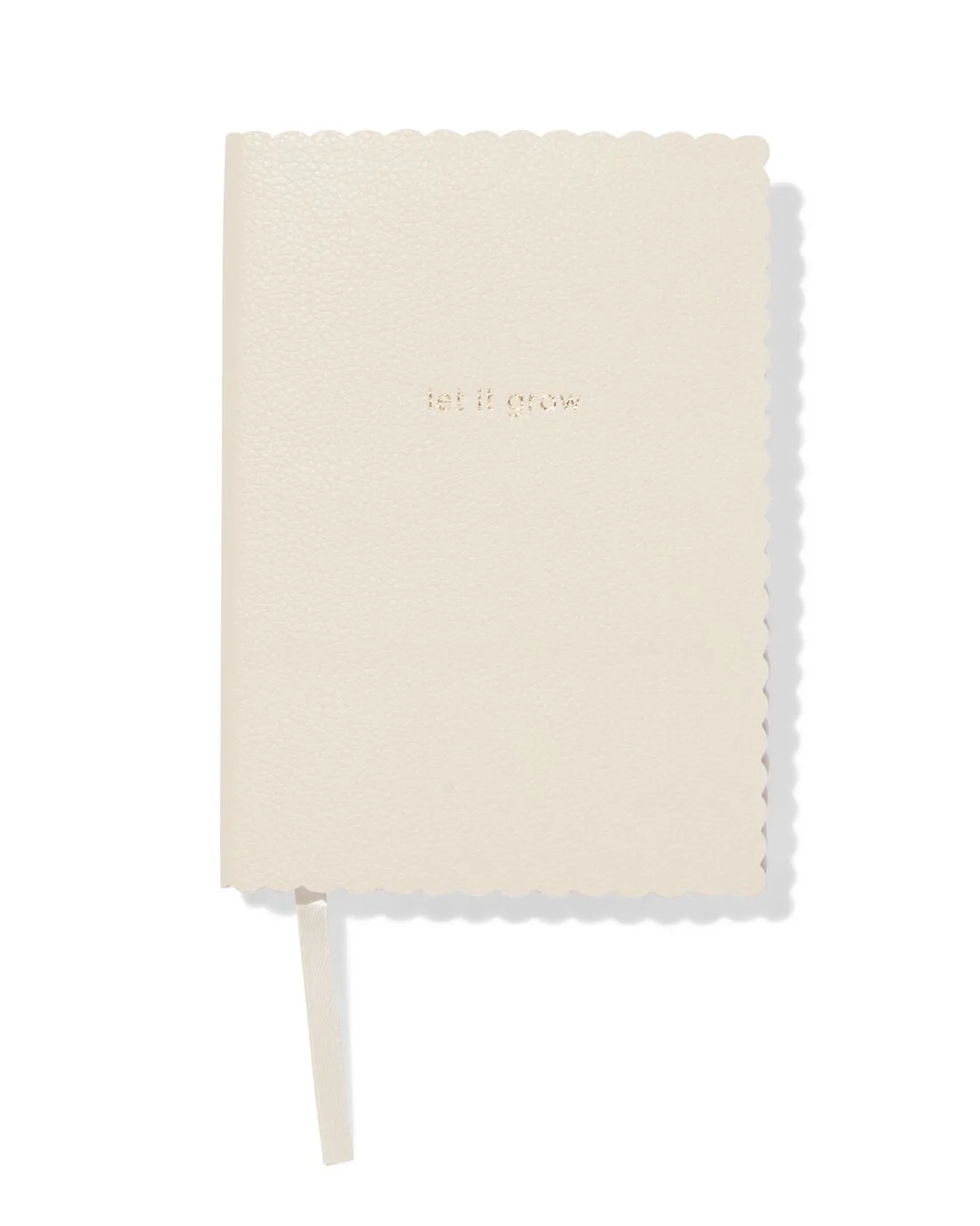 Notitieboek A6 gelinieerd (beige) van HEMA – productfoto