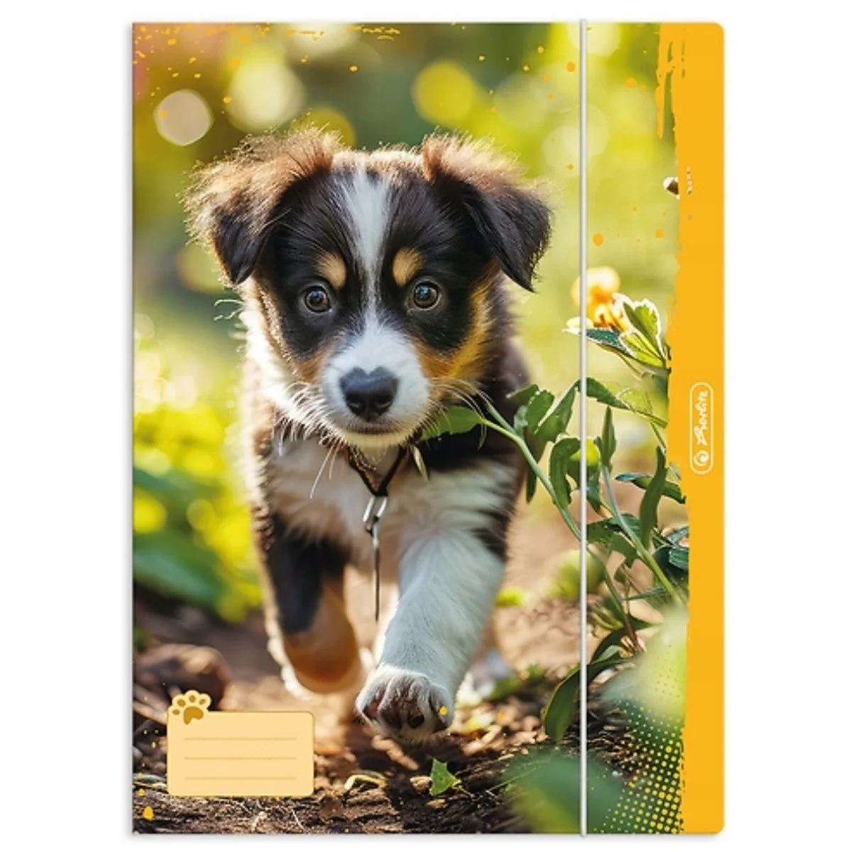 Animals Map A4 met Elastiek - Mix van Vrolijke Dierenprints van Herlitz – productfoto