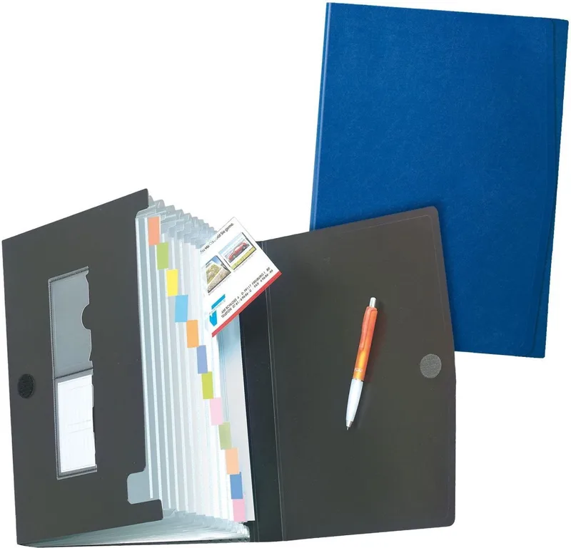 Fächermappe Fächermappe A4 PP 12 Fächer farbig sortiert by Herlitz – product photo