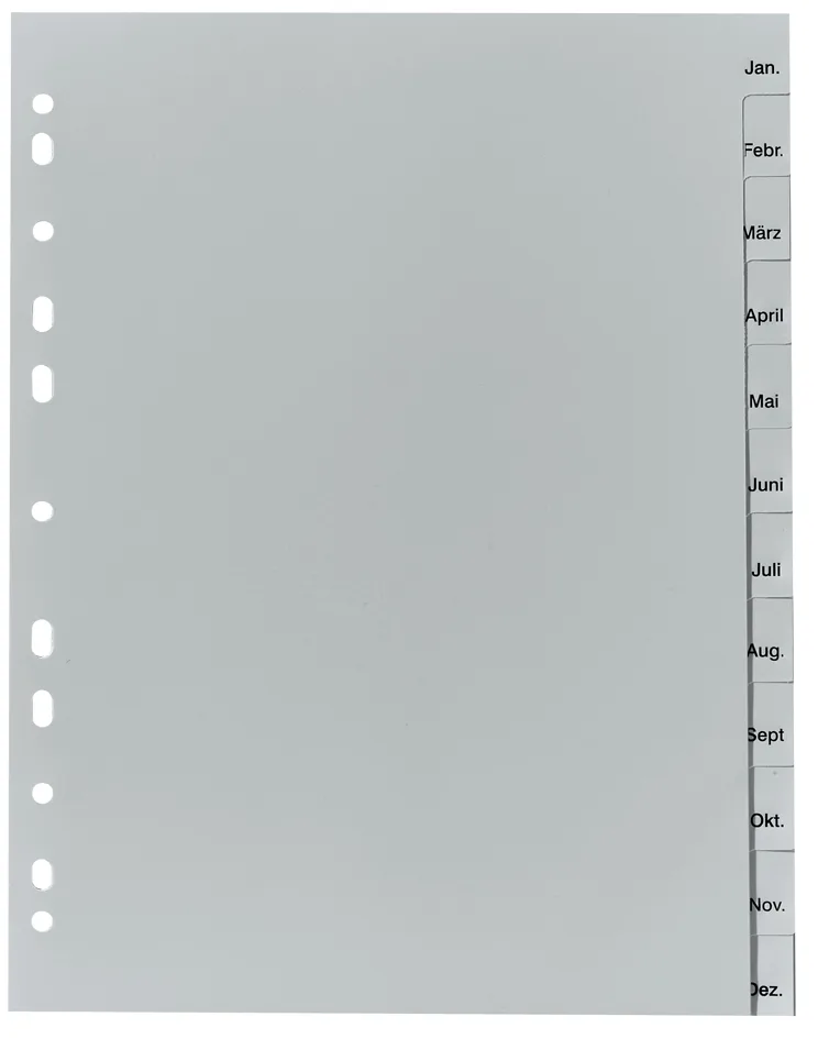 Kunststoff-Register, Monate, A4, 12-teilig by Herlitz – product photo