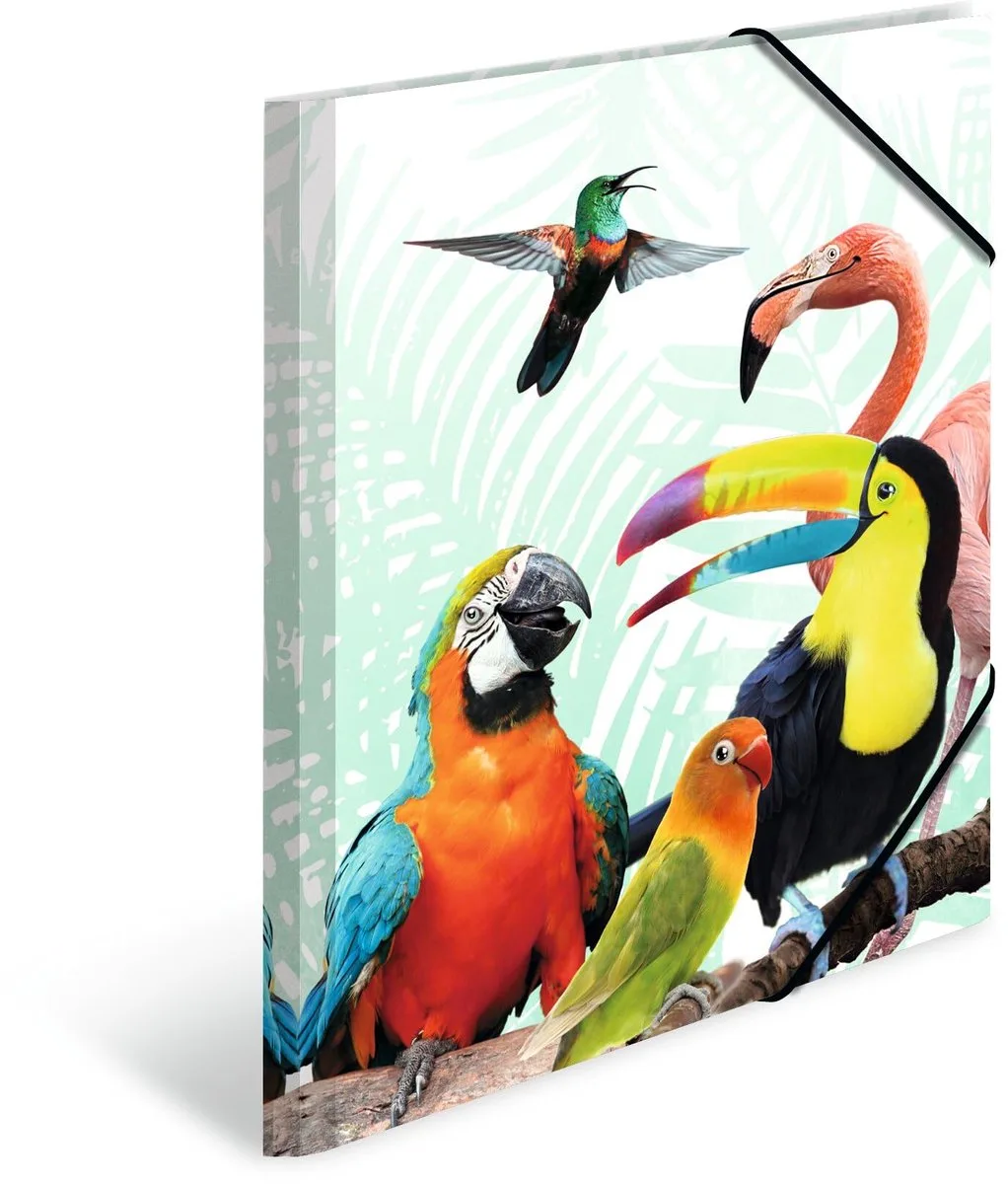A4 Papegaaien Mappen Set, 3-delig, kinderhoekmappen van kunststof met dierenmotief, elastiek, binnenflappen en binnenopdruk voor jongens en meisjes från Herma – produktbild