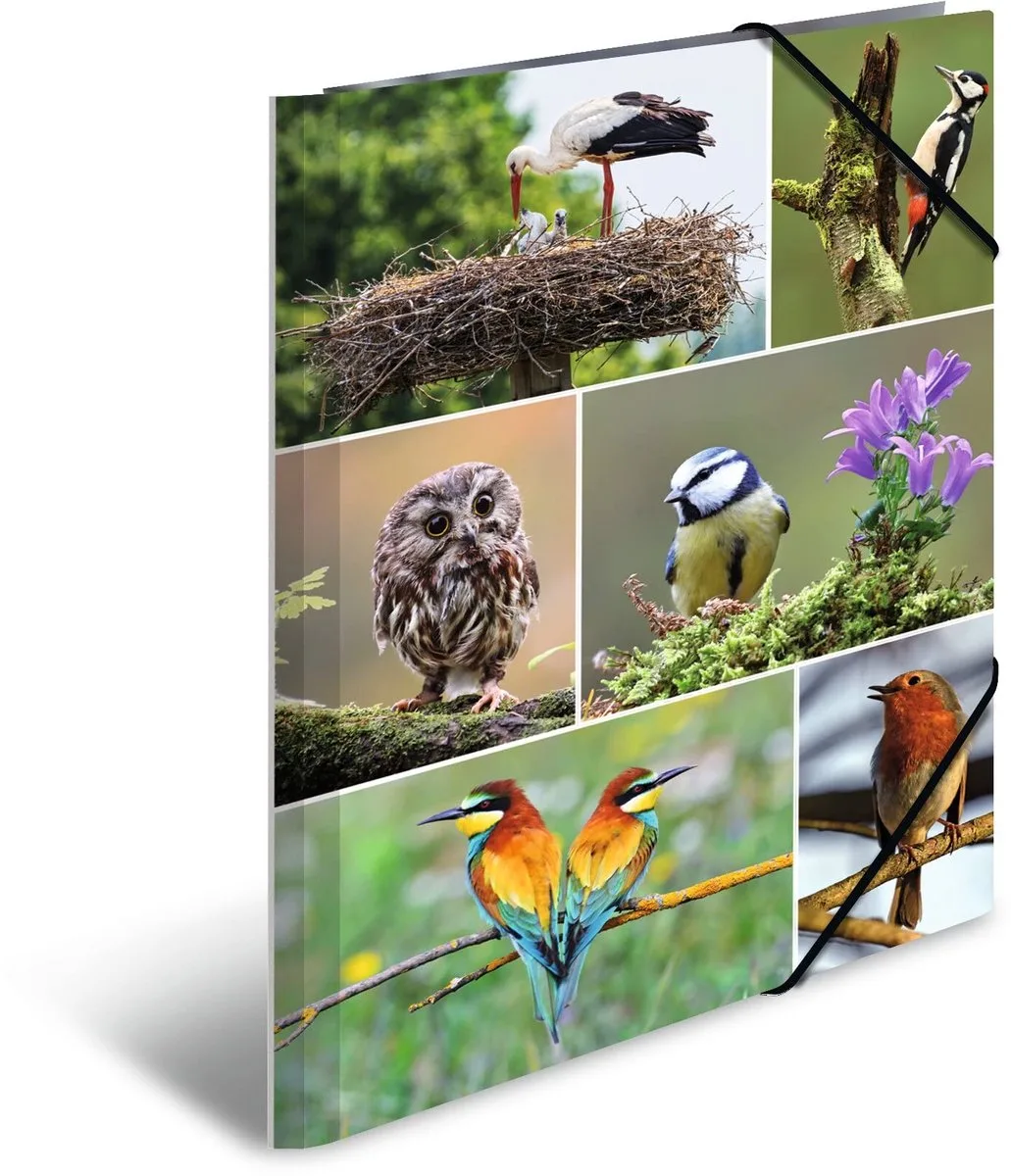 A4 Vogels Set van 3 Kinderhoekmappen van Karton met Dierenmotief, Elastiek, Binnenkleppen en Binnenopdruk voor Jongens en Meisjes de Herma – photo produit