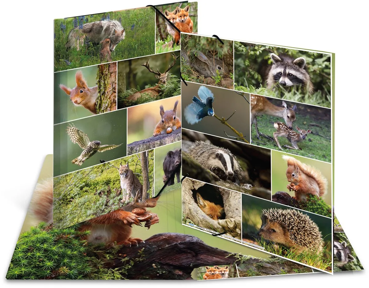 Elastomappen A3 Karton bos dieren de Herma en Multicolore – photo produit