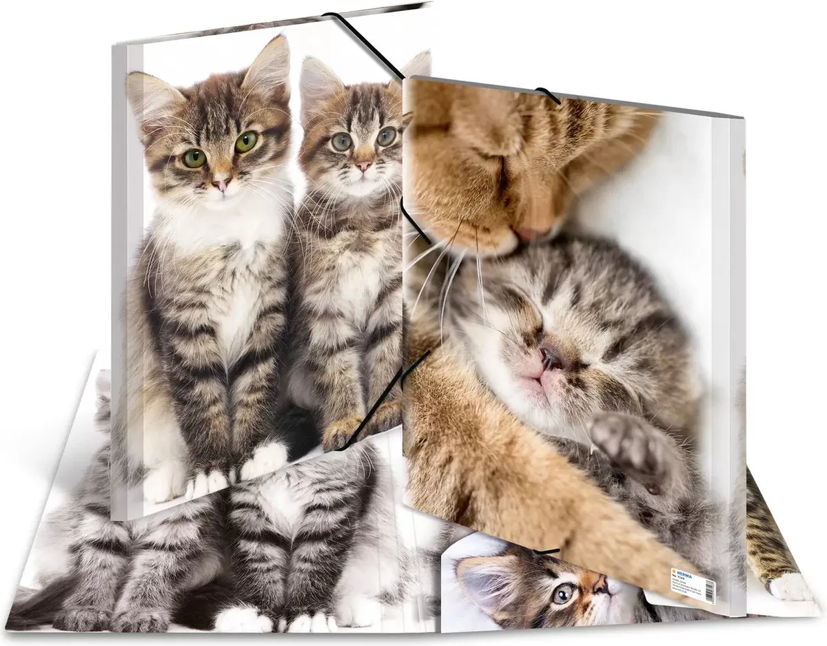 Elastomappen A3 PP Katten de Herma en Multicolore – photo produit