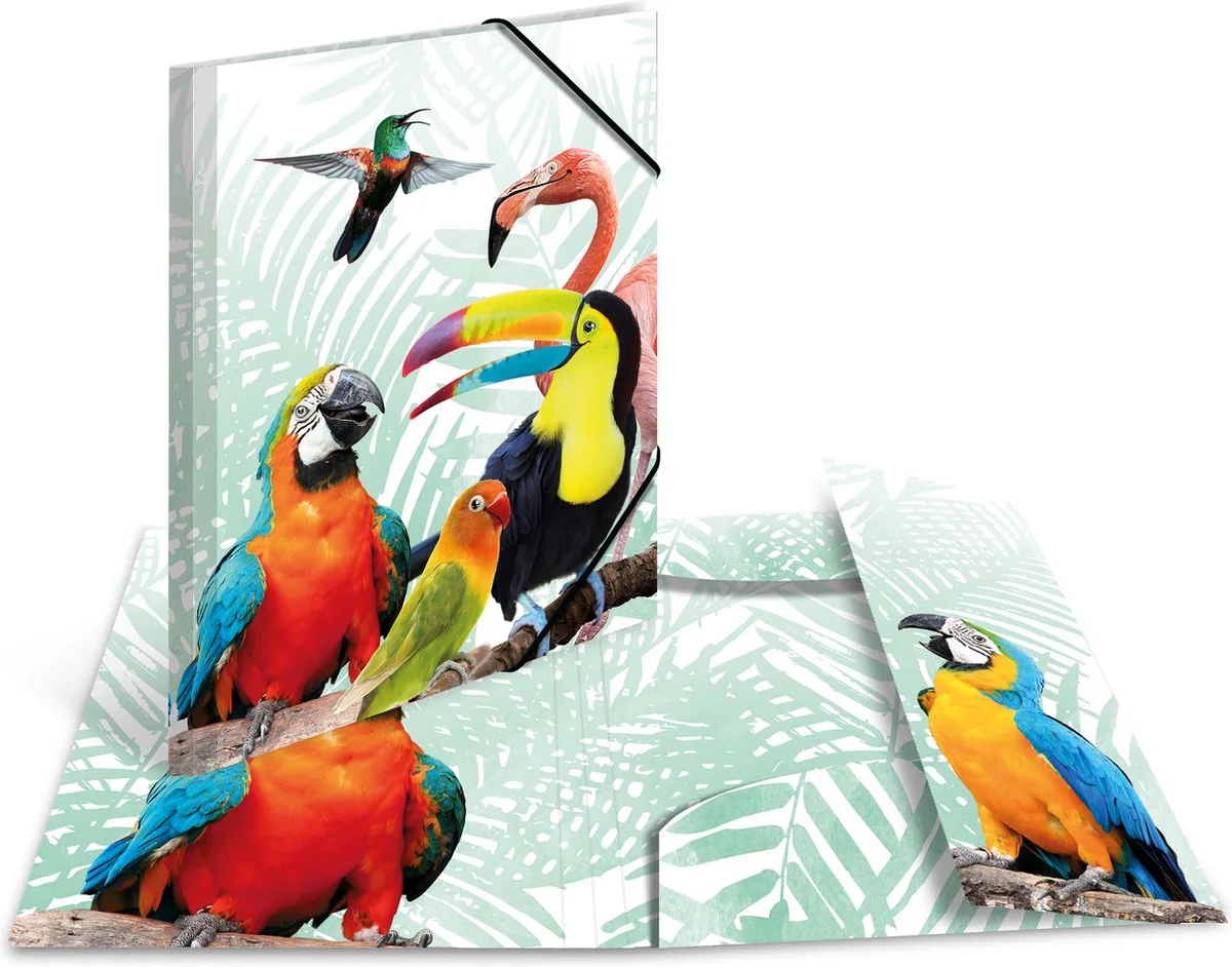 Elastomappen A3 PP Kliek tropische vogels van Herma in Meerkleurig – productfoto