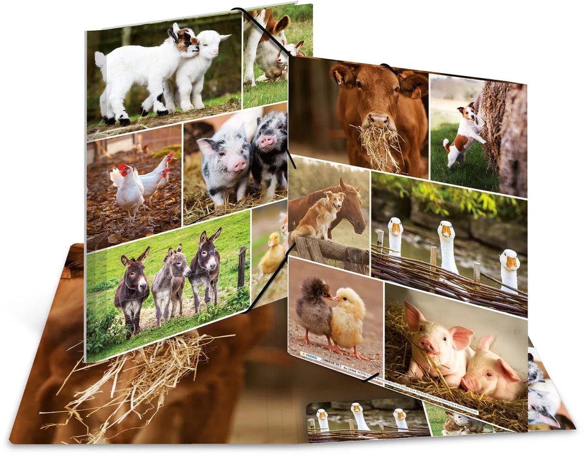 Elastomappen A4 Karton boerderijdieren de Herma en Multicolore – photo produit