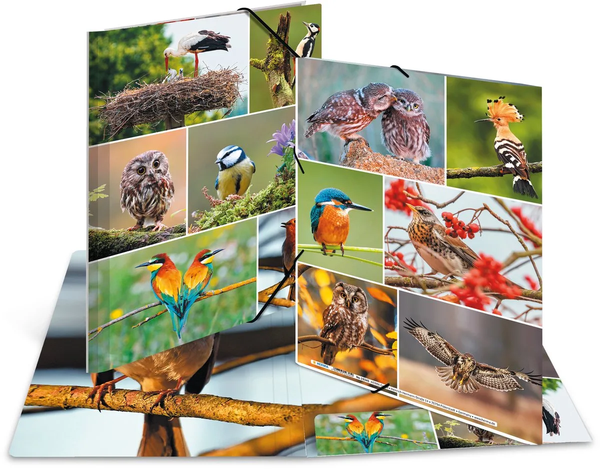 Elastomappen A4 Karton inheemse vogels van Herma in Meerkleurig – productfoto