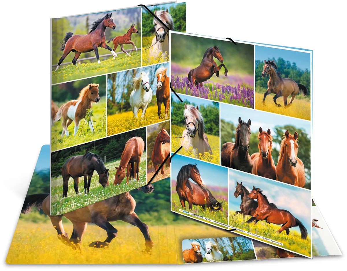 Elastomappen A4 Karton paardenwei van Herma in Meerkleurig – productfoto