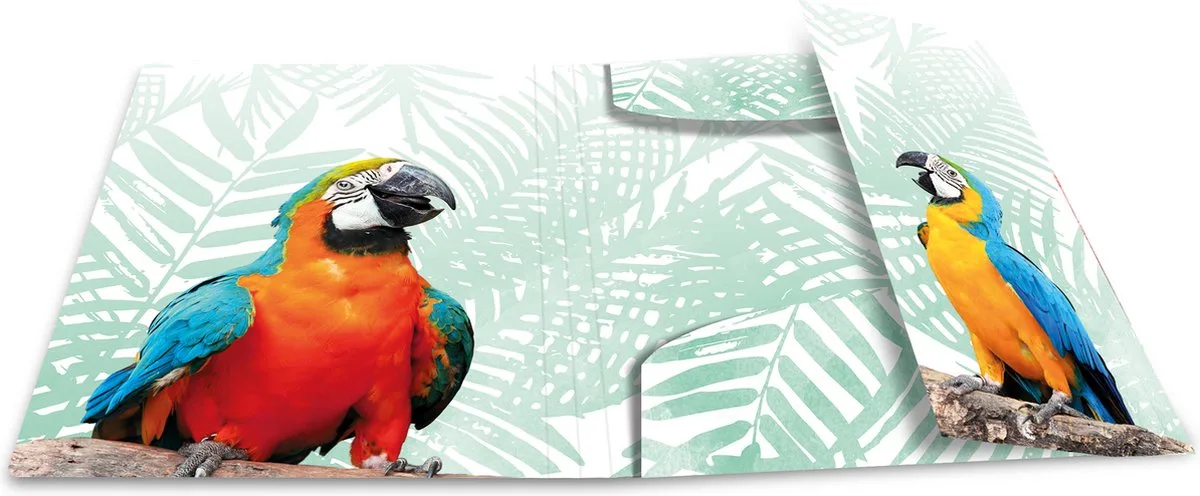 Elastomappen A4 PP Kliek tropische vogels van Herma in Meerkleurig – productfoto