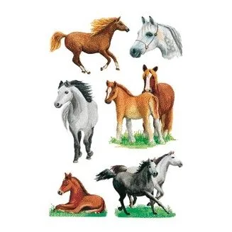 Etiket herma 3553 paarden rassen | 10 stuks de Herma – photo produit