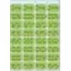 Etiket herma 3645 12x19mm groen 160st | 10 stuks van Herma – productfoto