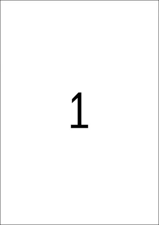 Etiket HERMA 4224 210x297mm weerbestendig zilver 25 stuks de Herma – photo produit 2 sur 2