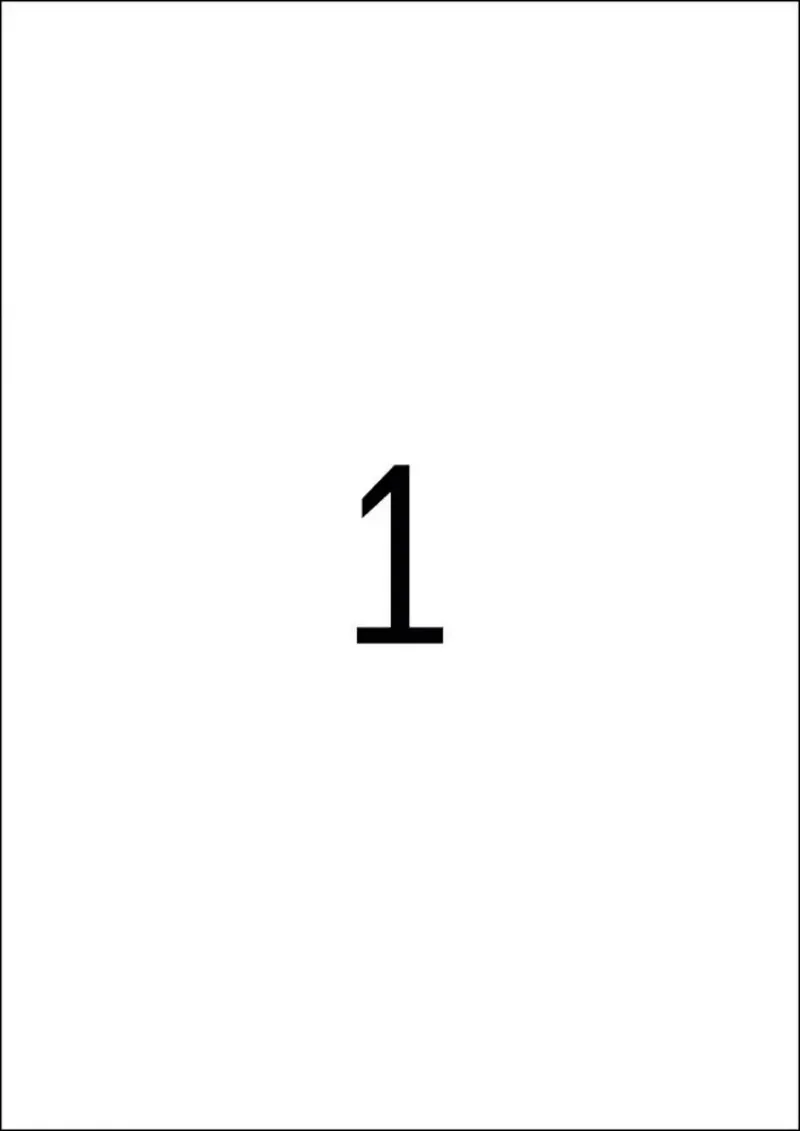 Etiket HERMA 4224 210x297mm weerbestendig zilver 25 stuks de Herma – photo produit 2 sur 2