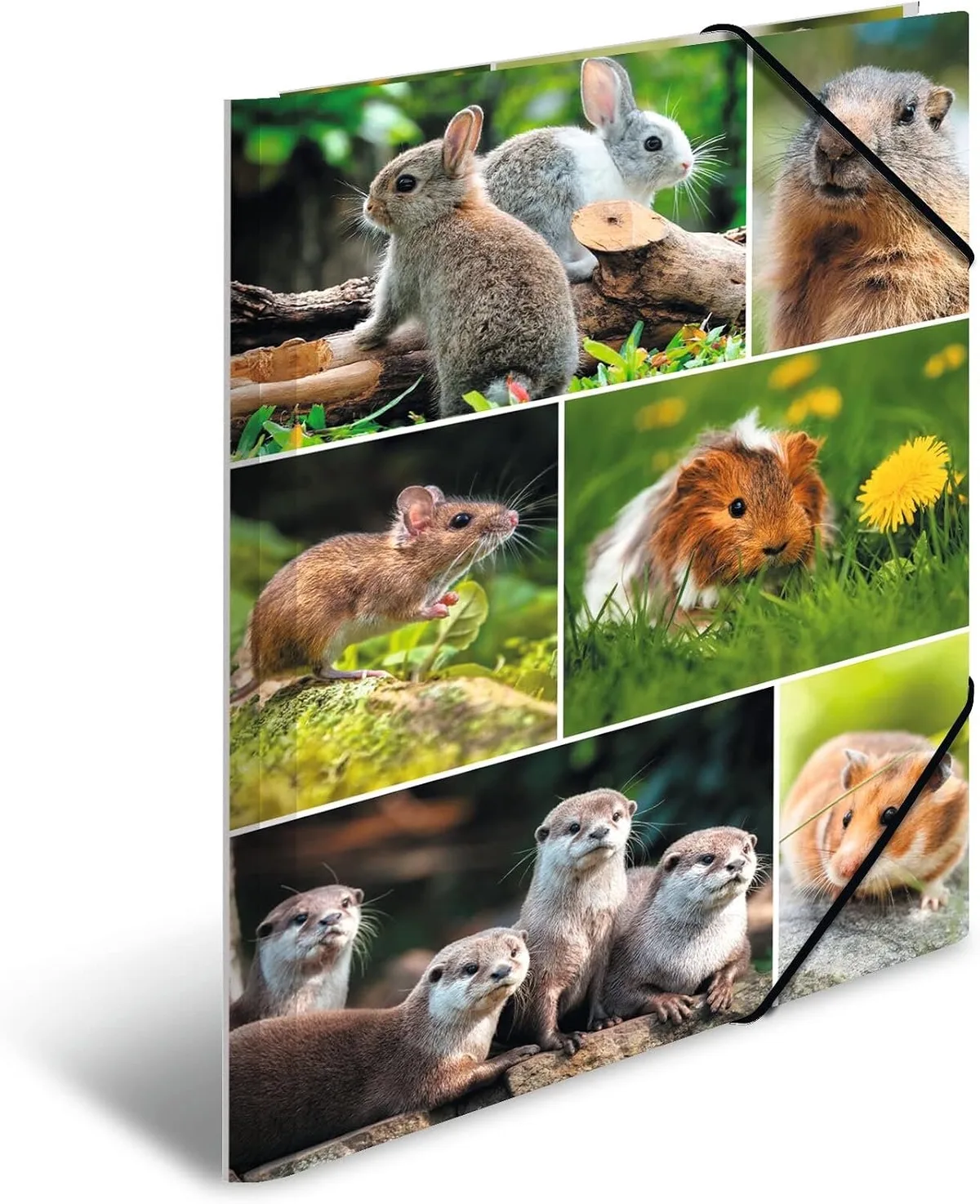 HERMA 19343 A4 Mappen Set 'Nagetiere' - 3 stuks met elastiek de Herma – photo produit