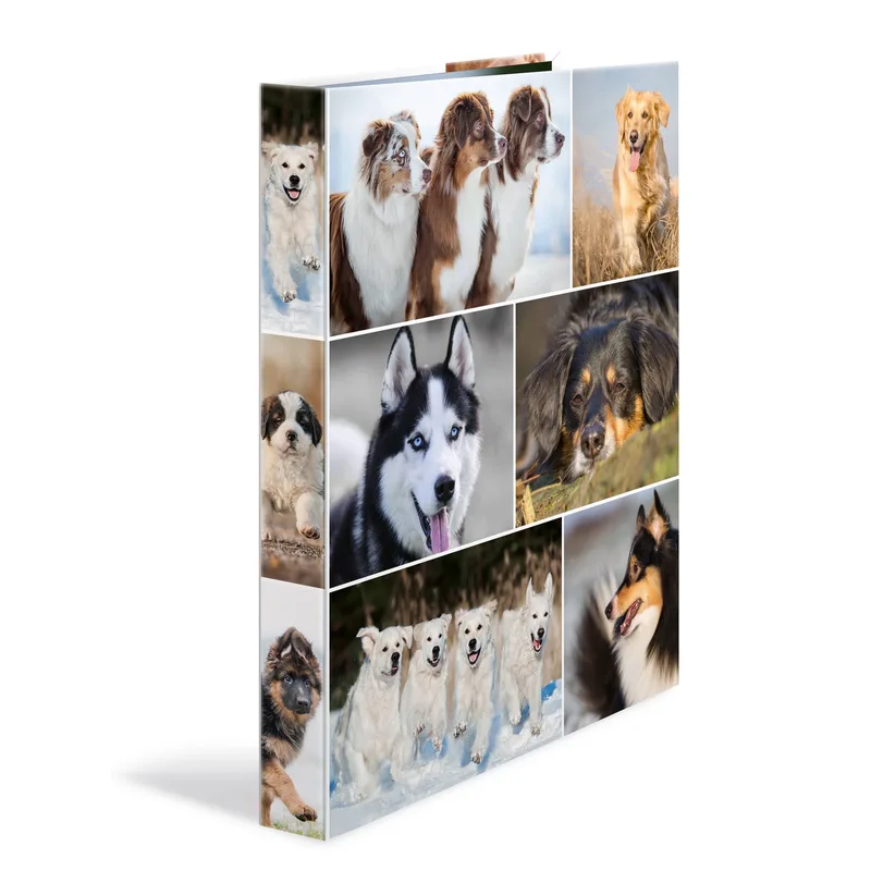 Ringbuch A4 Hunde 4D von Herma – Produktfoto