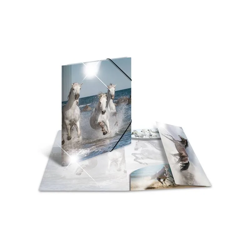 Sammelmappe A4 Glossy Pferd Polypropylen von Herma – Produktfoto
