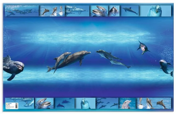 Schreibunterlage , Delfin, , (B)550 x (H)350 mm fra Herma – produktbillede