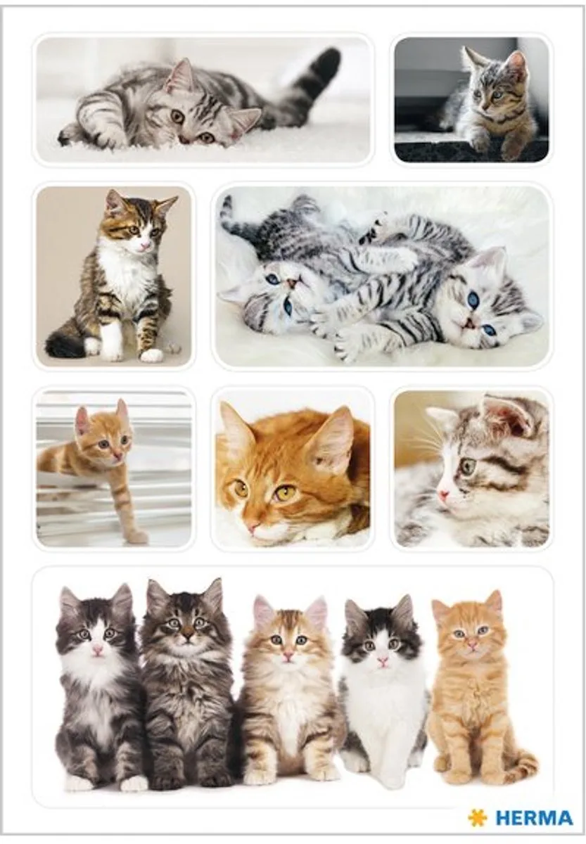 stickervellen Kattenkinderen, zelfklevend papier, bont bedrukt, 3 vel à 8 stickers von Herma – Produktfoto