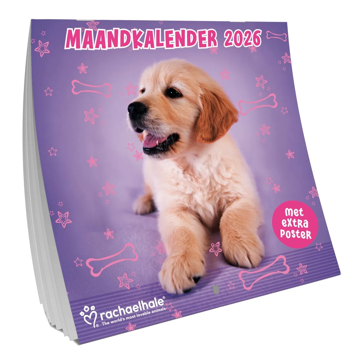 Rachael Hale Honden Kalender 2026 fra Interstat i Beige – produktbillede