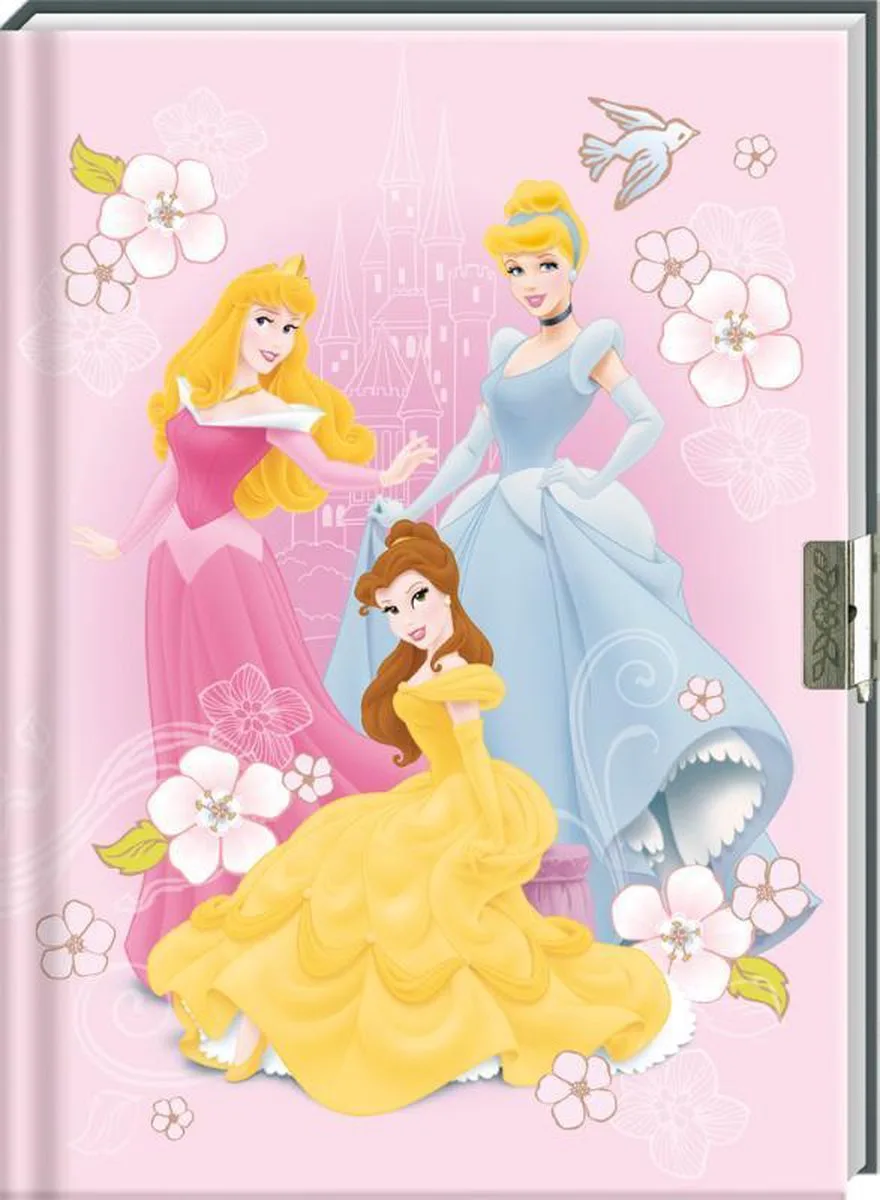 Set dagboek Prinses met slot / 6x8,95 by Interstat in Multicolour – product photo