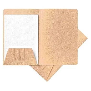 Dossiermap djois a4 1 klep 250gr chamois | 100 stuks by Jalema – product photo