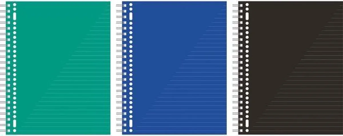 collegeblok - A4 - lijn - 60 grams - met kantlijn - K-58371-3 by Kangaro in Assorti – product photo