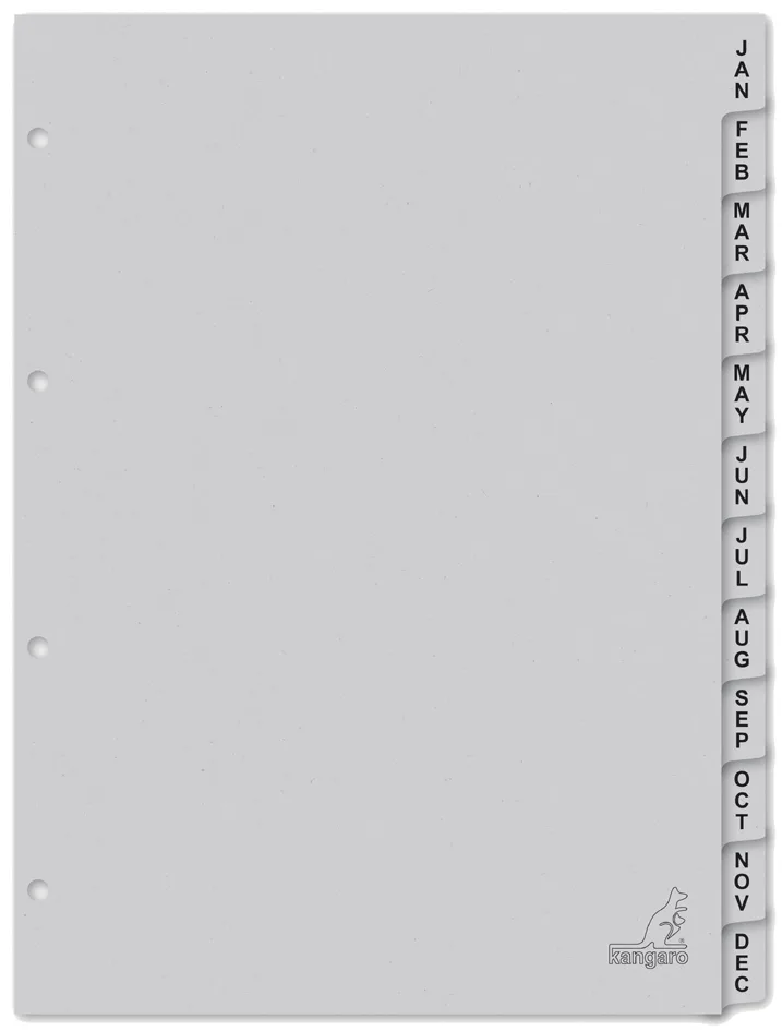 Karton-Register ECO, Monate, DIN A4, 12-teilig by Kangaro – product photo