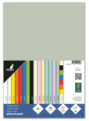 Multifunktionspapier, DIN A4, 160 g/qm, pastellgrau de Kangaro – photo produit