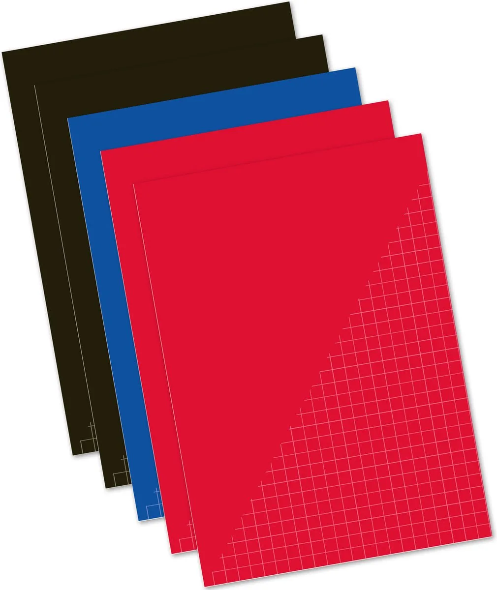 Pakket van 10x stuks schoolschriften A4 - ruitjes/wiskunde en lijntjes schriften gekleurd de Kangaro en Multicolore – photo produit