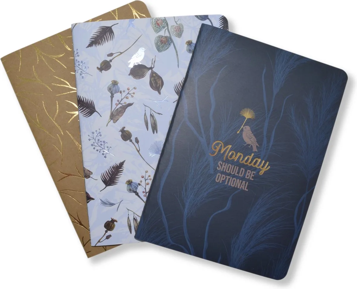 schrift - A5 - NATURAL BEAUTY - 80 pagina's gelinieerd - 80 grams papier - K-SKZ210001 de Kangaro en Blanc – photo produit