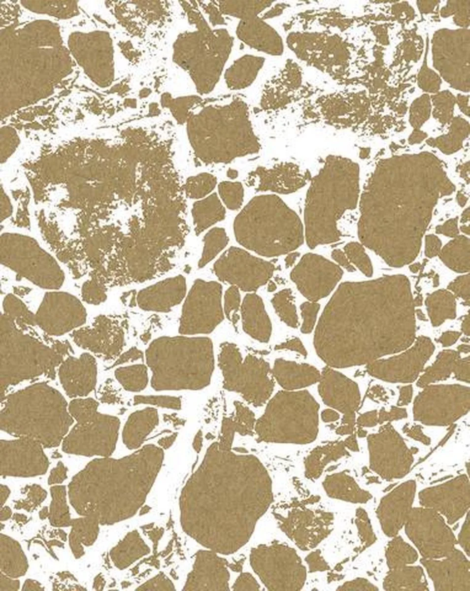 Schrift Nature Snaps A5 ruit 60 grams krimp a 3 assorti 80 bladzijden FSC MIX K-21511 de Kangaro en Dessin – photo produit