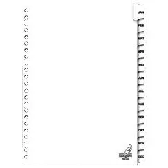 Tabblad kangaro 23r pk412jm 12 delig maand karton | 18 stuks by Kangaro – product photo
