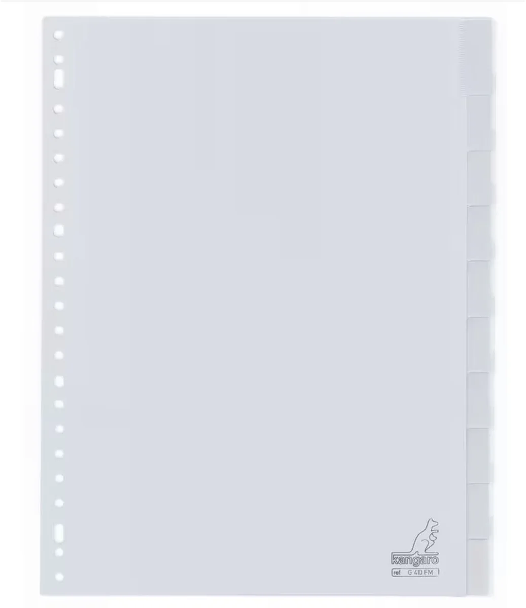 Tabbladen A4 - 20x stuks - met venster - 23 gaats/rings de Kangaro en Gris – photo produit