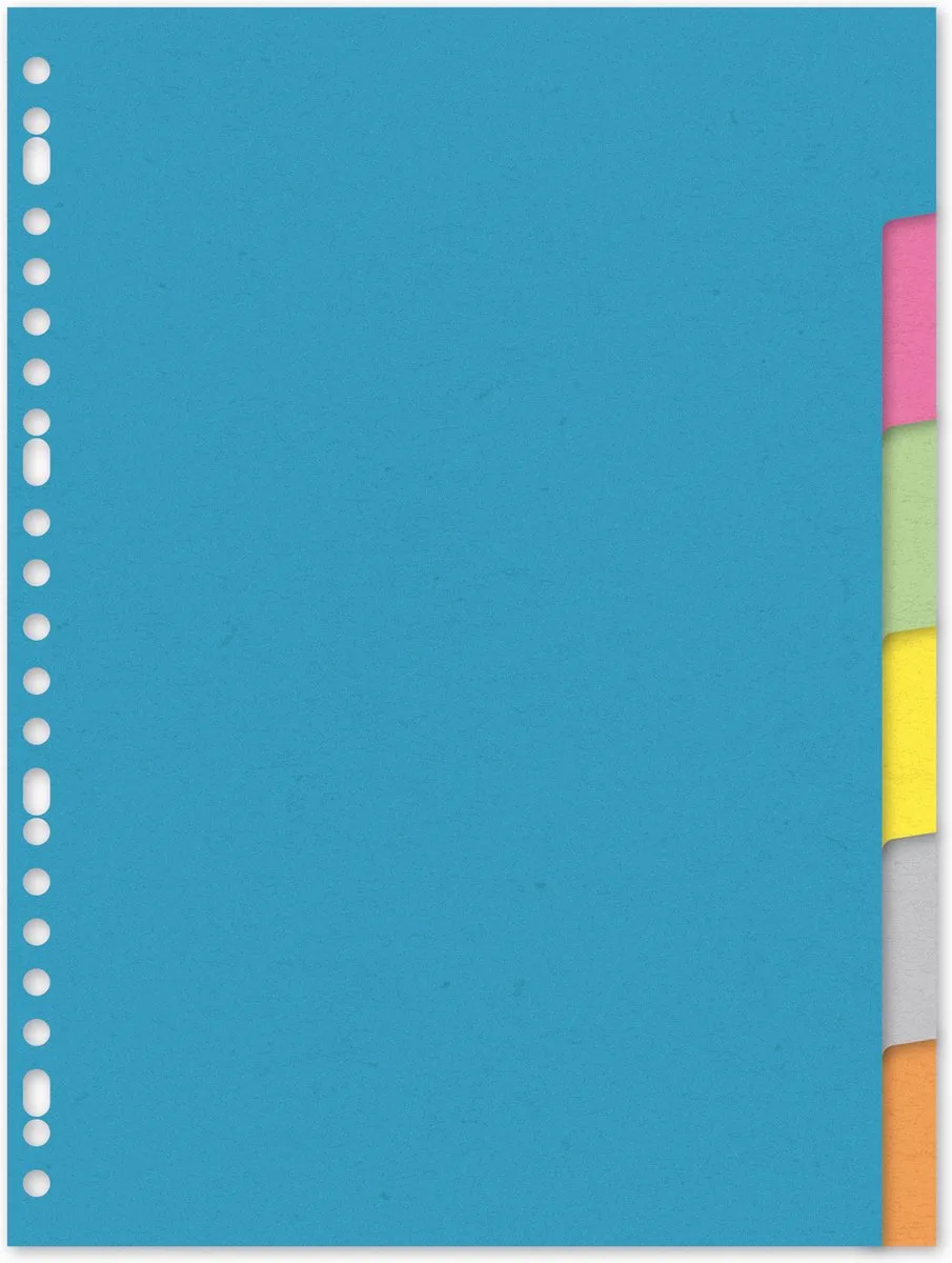 tabbladen - A4 - gerecycled karton - 220 grams - 23-gaats - 6-delig de Kangaro en Assorti – photo produit