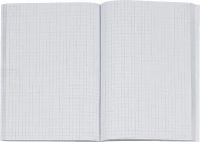 Kladde 8615272-300SB96 Notizbuch kariert Rot 96 Blatt DIN A5