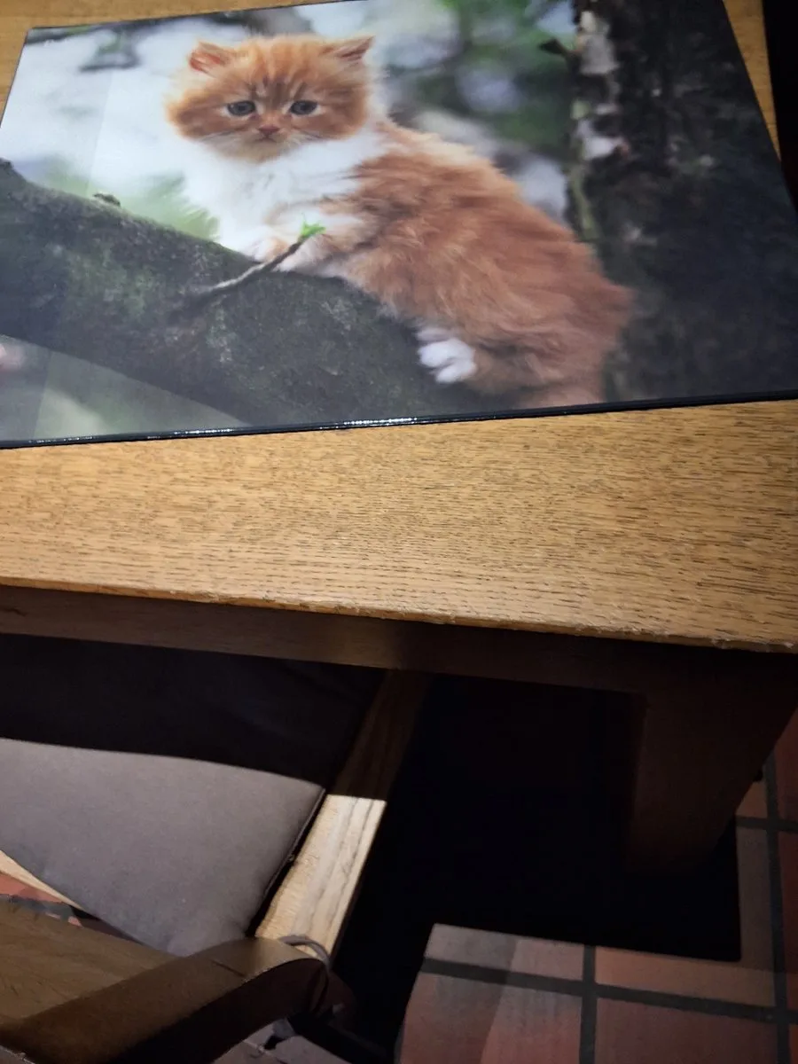 Bureauonderlegger poes 53x40cm fra Läufer i Groen bruin wit – produktbillede