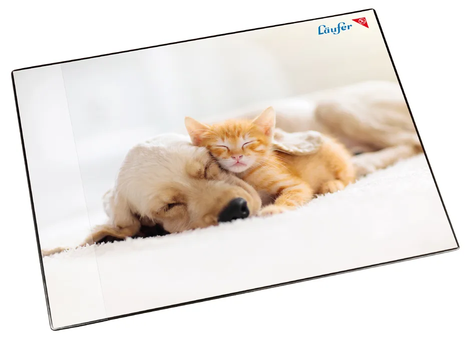 Schreibunterlage Hund und Katze, 400 x 530 mm fra Läufer – produktbillede