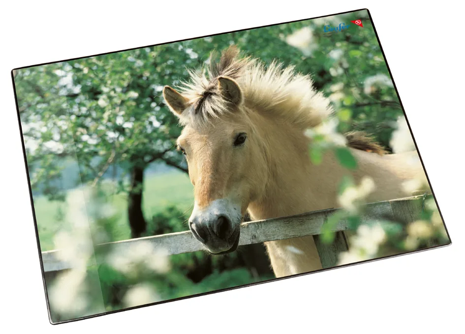 Schreibunterlage Pferd am Weidezaun, 400 x 530 mm fra Läufer – produktbillede